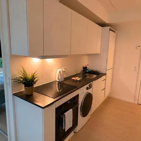 Апартаменты Scandinavian Apartment- Balcony- Free Parking